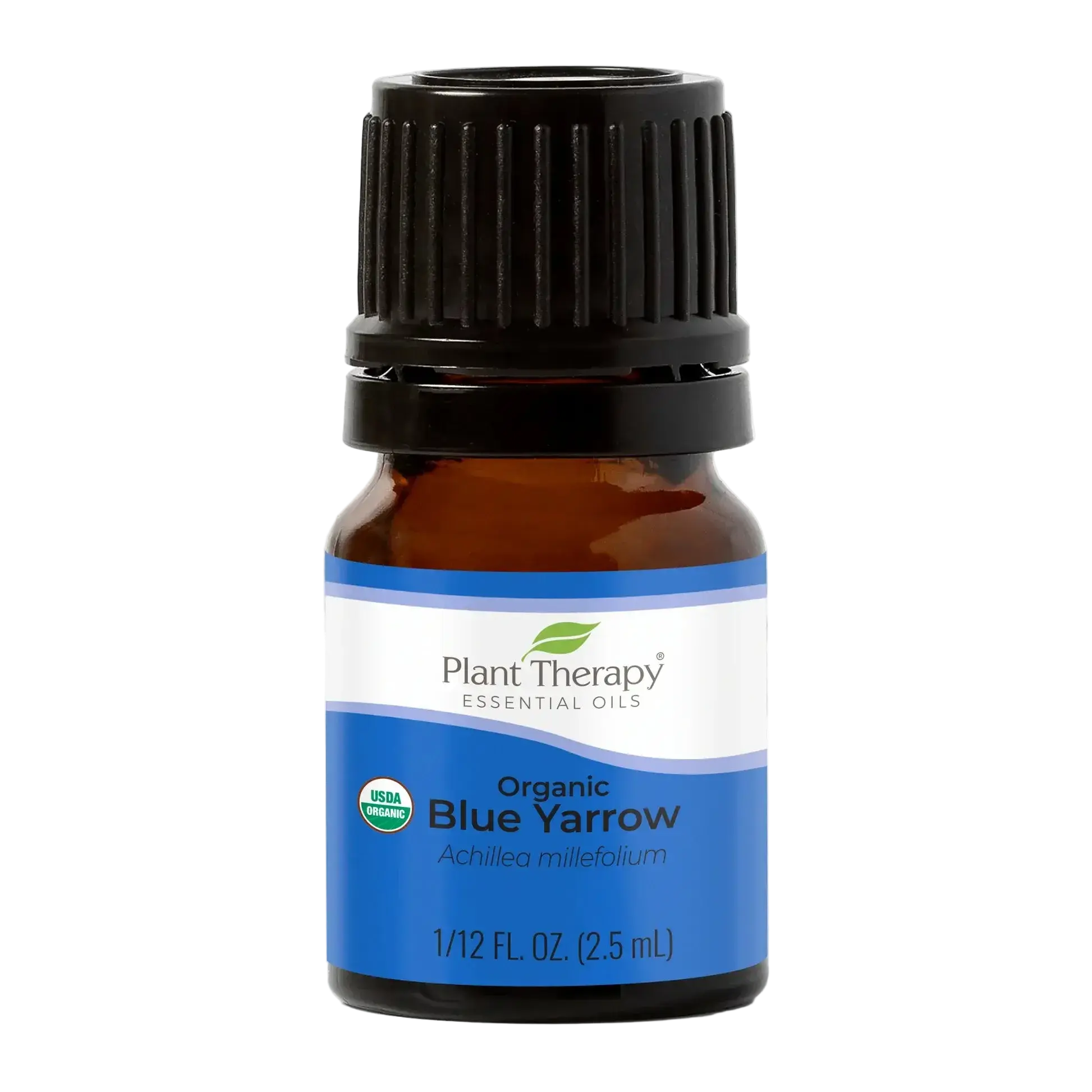 Plant Therapy Organic Herbal Blue Yarrow Essential Oil, 2.5 mL - GMO-Free for Sensitive Skin, Aromatherapy & Therapeutic Use to Help During Major Life Changes