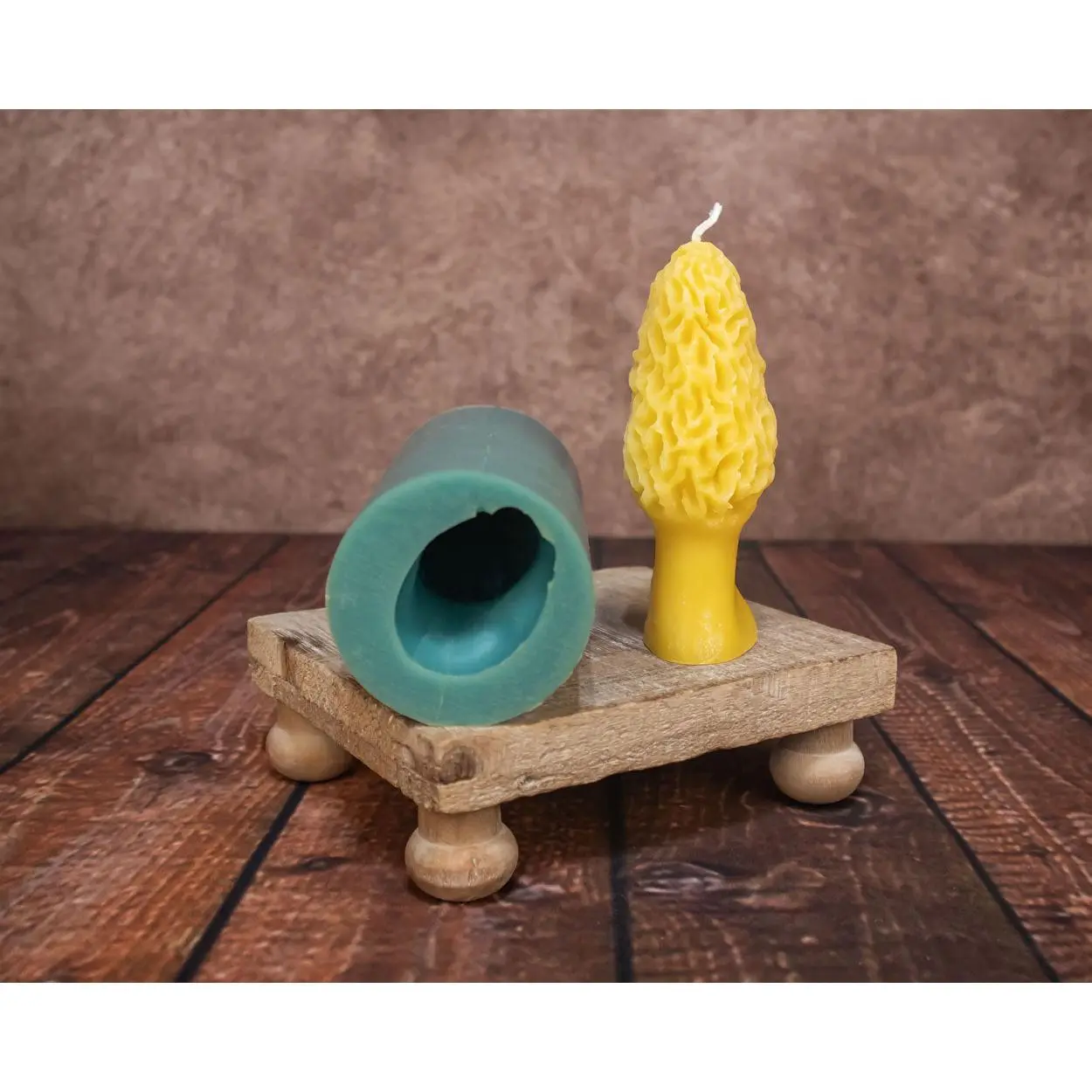 Morel Mushroom Mold