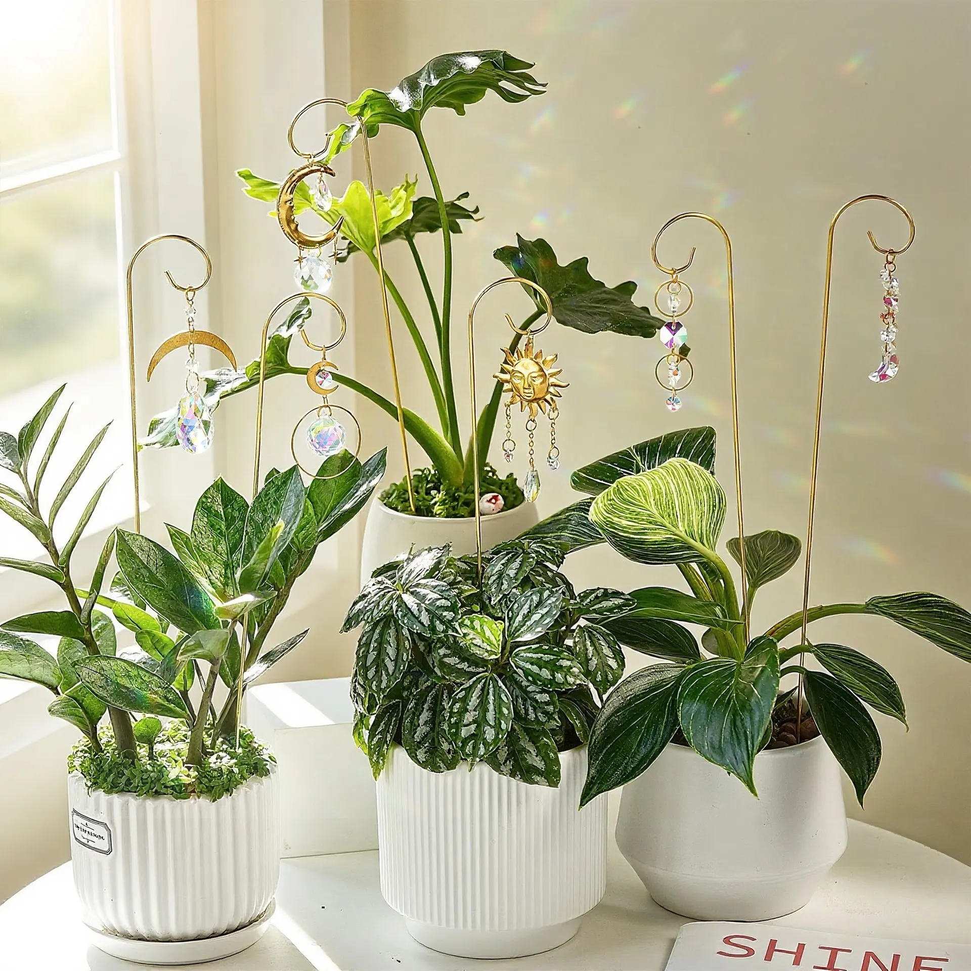 6 Pack Small Trellis for Potted Plants, Indoor Decorative Stakes, 13.5'' Metal Plant Stake Suncatchers, Home Window Garden Decoration