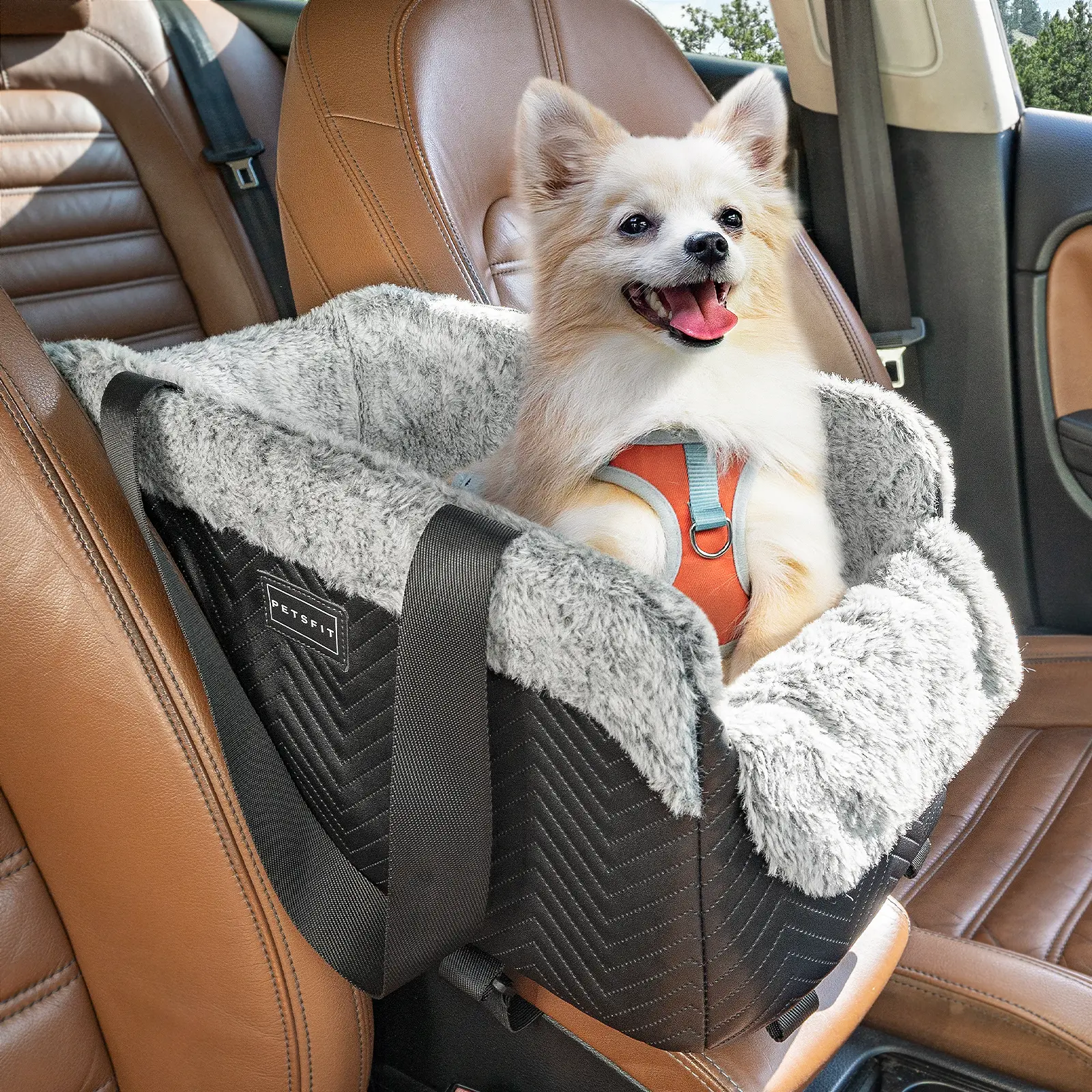 PETSFIT Center Console Dog Car Seat, Portable Pet Car Seat with Safe Protective Hooks, Luxury Dog Car Seats for Small Dogs Includes Safety Leash and Storage Pocket for Pets Up to 11 lbs (Black)