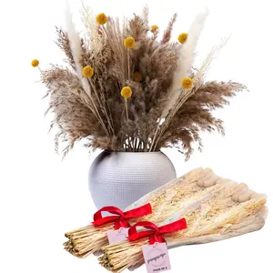 PAMPSCAPE All Natural Dried Pampas Grass Fillers for Vases - 2 Bouquets (220 Pcs) of fluffy Pampas Flowers. Perfect Plant Gift for Your Home Décor - Get it now to add rustic & modern elegance to your Living Dining and bedroom Decor Decorative