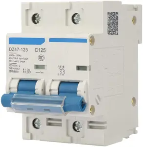 Current Circuit Breaker, D47-125  Current Miniature Circuit Breaker 400V 80/100/125A Leakage Protection Switch Supplemental Protection(125A)