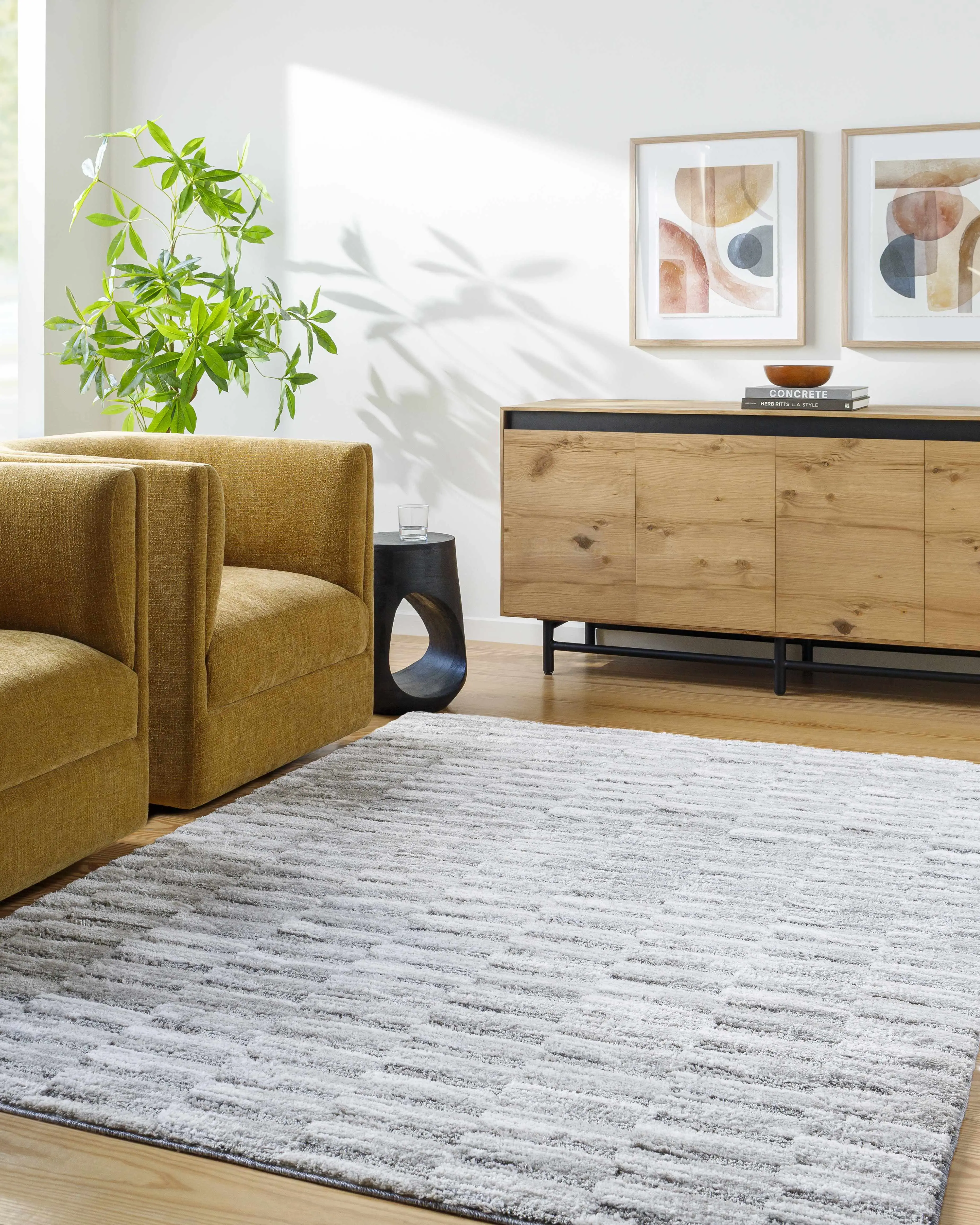 Tiimu Shag Area Rug - Furry Soft Fluffy Modern Shaggy Home Decorative Rug, Clearance, Furry Soft Rugs