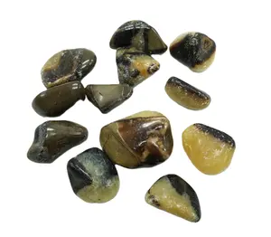 Septarian Tumbled Stones