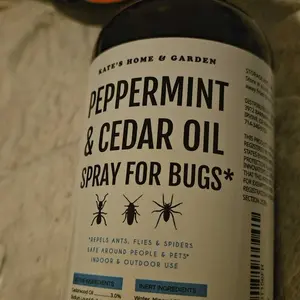 review image 3