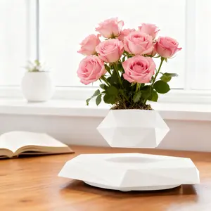 Levitating Plant Pot - Levitation Tech·Auto Light Supplement Sleek Modern Design for Versatile Use in Living Rooms Bedrooms & Kitchens Easy Maintenance Perfect Gift for Plant Lovers Multi-Scene High-Value Greenery Essential