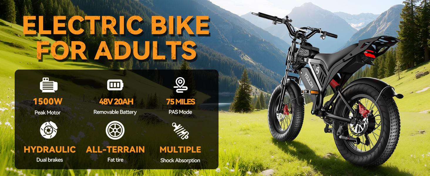 YOULON Electric Bike for Adults 1500W Peak 20" Fat Tire All-Terrain E-Bike 30 MPH Electric Dirt Bike for Road Sand Mountain Snow - 48V 20 AH Battery Powered Electric Motorcycle, Full Suspension E Bike YOULON Electric Bike for Adults 1500W Peak 20" Fat Tire All-Terrain E-Bike 30 MPH Electric Dirt Bike for Road Sand Mountain Snow - 48V 20 AH Battery Powered Electric Motorcycle, Full Suspension E Bike