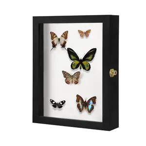 ·  CRDC insect display box wall mounted insect display collection box is suitable for butterfly specimens, fade and UV resistant acrylic top EVA foam pin board and 3 sizes of pin insect shadow box - large black