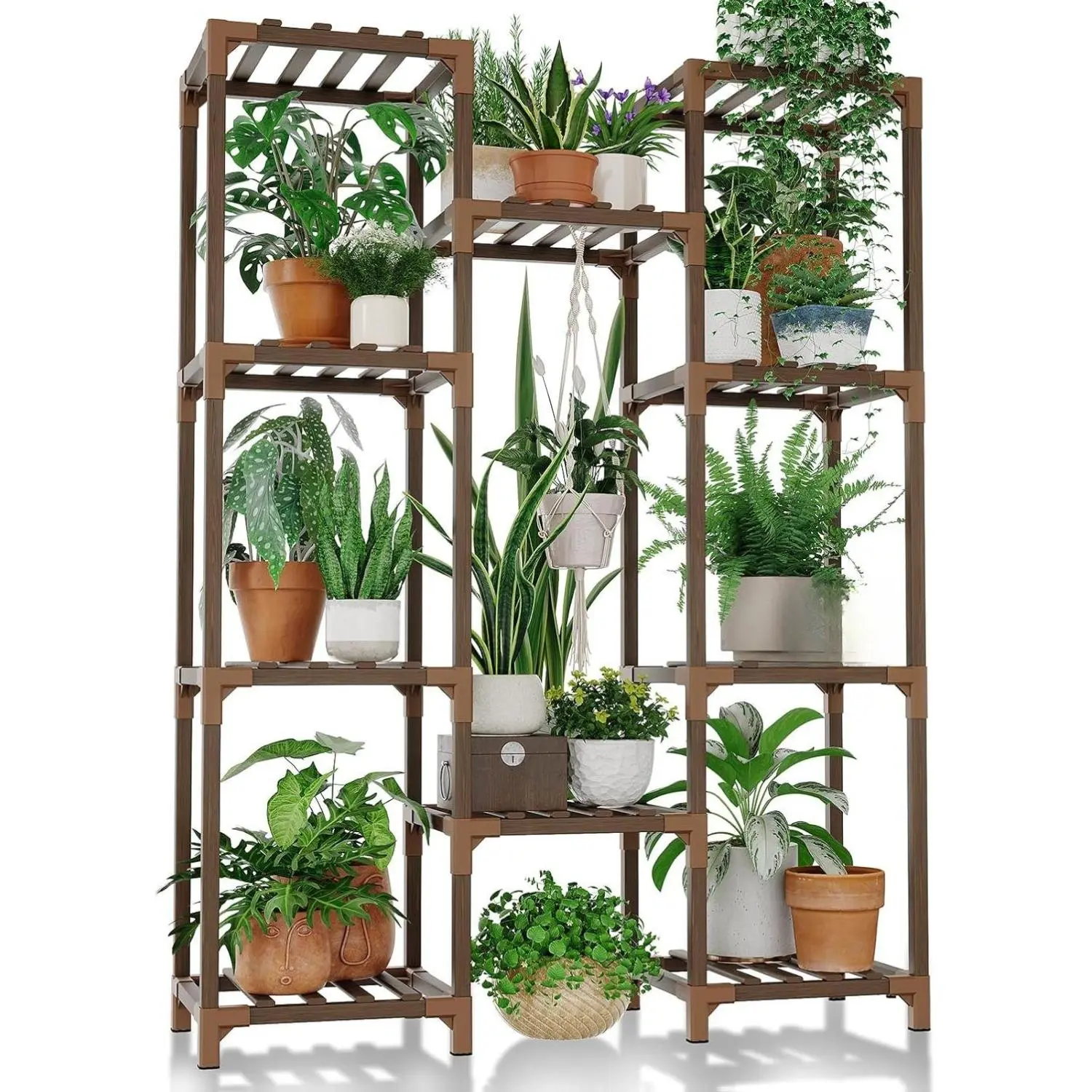 air plants and terrariums Wholesale: Seascape Terrarium with Tillandsia Tenuifolia and Butzii Air  Plants main image 0