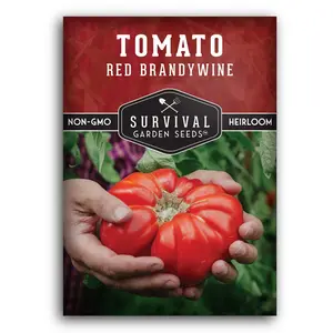 Brandywine Red Tomato Seeds