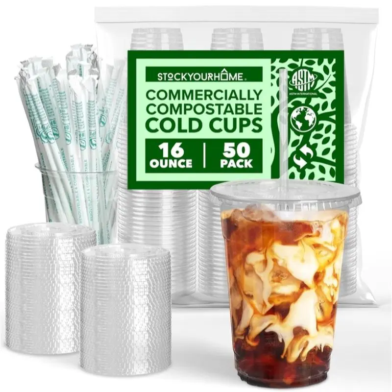 Stock Your Home 16 oz Clear PLA Cold Cups 50 Pack Disposable Party Cups for Water Iced Coffee Soda Beer Wine Sample Cups