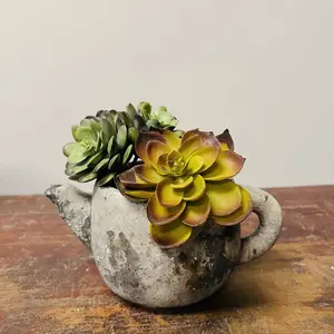 Cement Rustic Teapot Succulent Planter: Medium