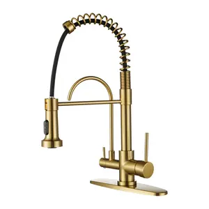 WOWOW Double-Handles Pull Down Sprayer Kitchen Faucet with Drinking Water Filter in Solid Brass in Brushed Gold