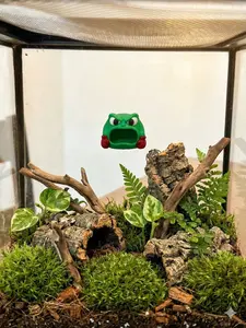 3D Printed Cuphead Inspired Boxing Frog Jumping Spider Hide - Hidden Magnetic Mount - Multicolor Terrarium Decor