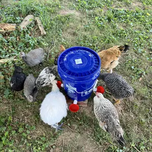 Chicken Waterer Cups 6 Packs Large Automatic Water Cups with Fitting for Poultry, Duck, Goose, Turkey with Mounting Hole Opener DIY Feeder Kit - Bowl Feeding