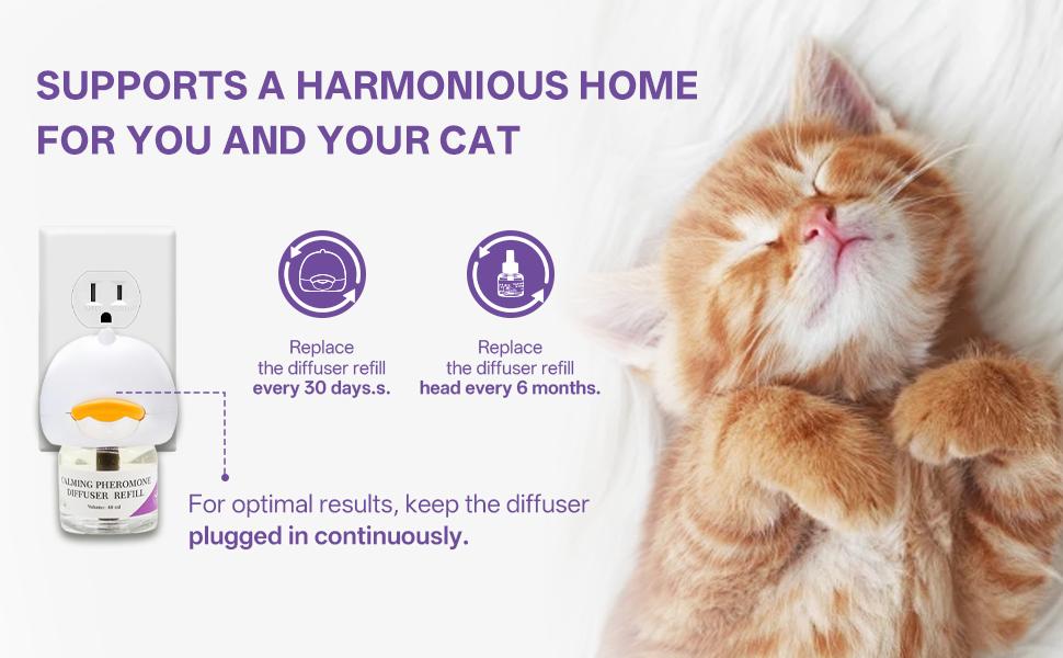 30 Day Cat Calming Plug In Pheromone Diffuser Starter Kit, 48ml*2 - Helps Reduce Common Signs of Stress in Cats & Kittens, Enhanced Calming
