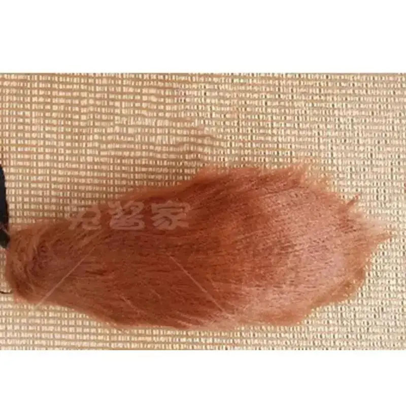 Tail