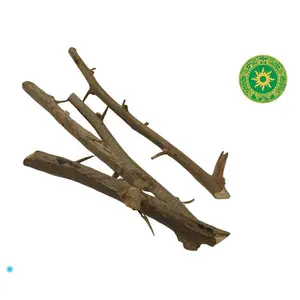 PALO ESPÉEA DE GALLO - Natural Herbal Treatment for Wellness and Healthcare