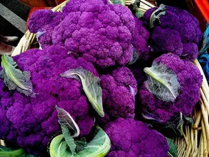 Purple Cauliflower Plant - 4" Pot - Color and Flavor