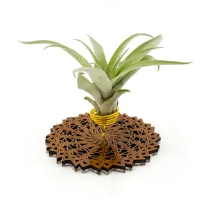 Wire Air Plant Holder 7 - Unique Plant Display Stand // Geometric Modern Wood Home Decor Table Shelf Desk Plant Lover Gift Idea