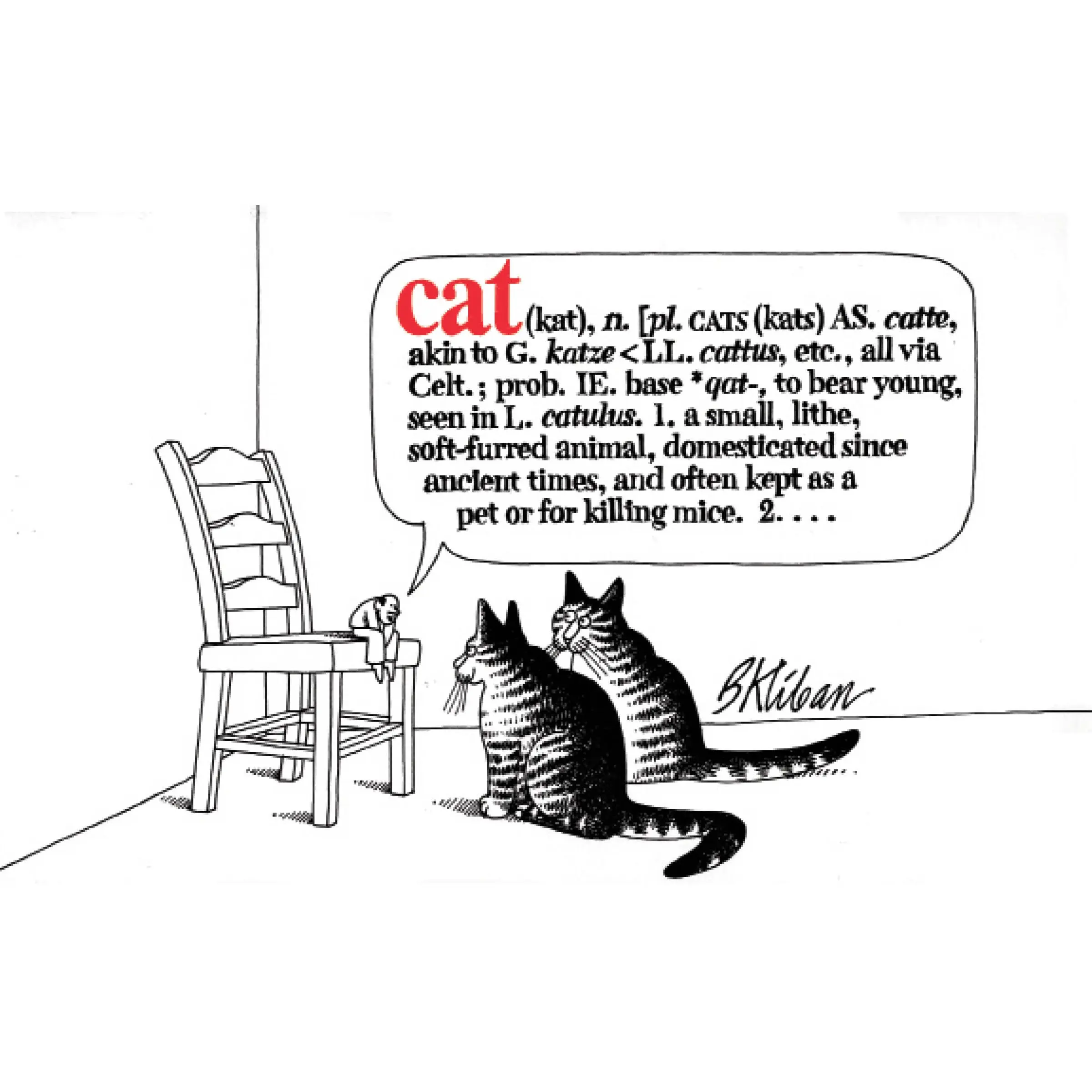 Cat