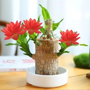 Enchanted Wooden Plant with Stand & Whimsical Doll – A Perfect Blend of Nature and Charm for Your Space