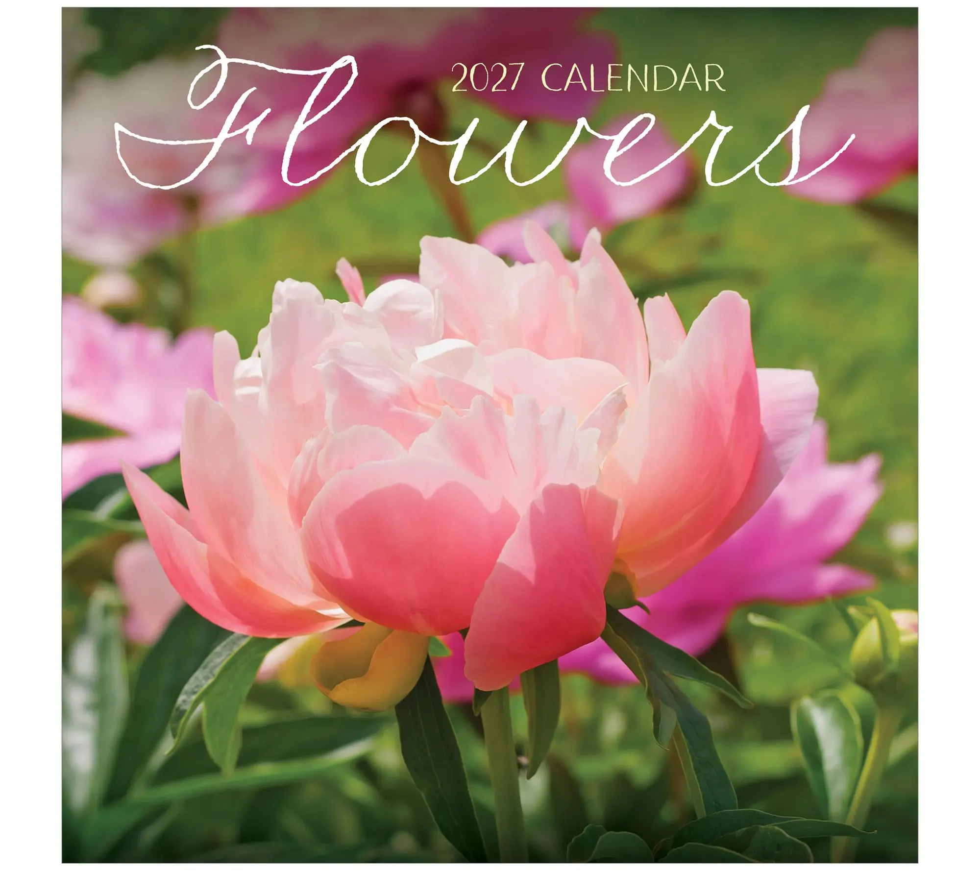 TF Publishing 2027 Flowers Wall Calendar
