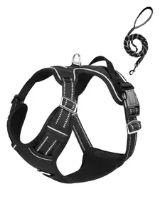 rabbitgoo No Pull Dog Harness and Leash Set