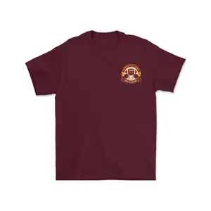 Washington DC Football Crest T-shirt, Vintage Team Emblem Graphic Tee, Unisex Cotton Streetwear Tops, Retro Sports Fan Shirt, Men’s T-shirts