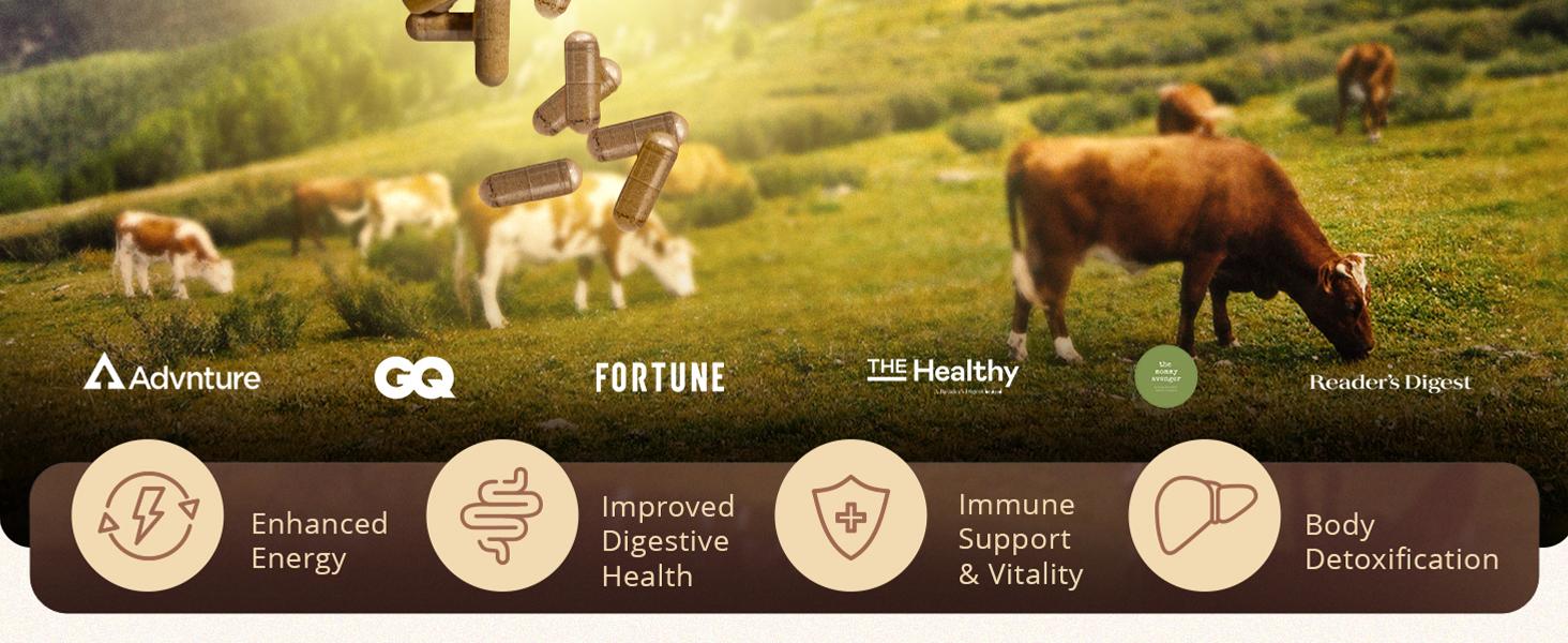 Ancestral Supplements Grass-Fed Beef Liver Capsules – Nutrient-Dense, Freeze-Dried, 180 Count