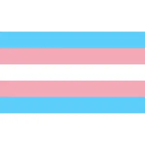 Trans Pride Flag Playmat 14” x 24”