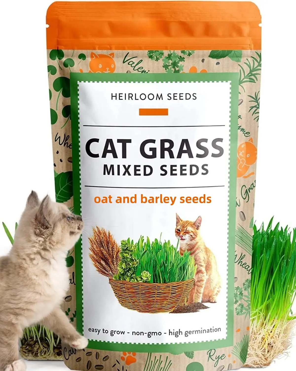600 Seeds Cat Grass Seeds for Indoor & Outdoor, Fast Growing Wheatgrass for Cats, Easy Planting, Fresh Cat Greens