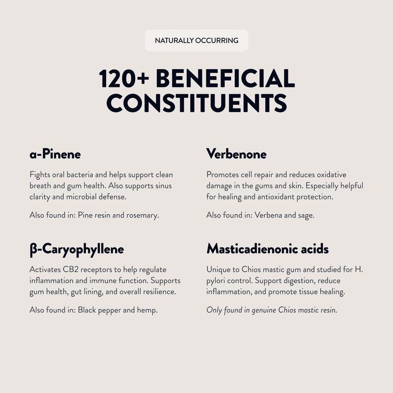 Greco Gum - Premium Mastic Gum Droplets - Hard Chewing Gum Promotes Jaw Exercise - Pure Mastic Resin with Piney Flavor - 1 Tin (45g)