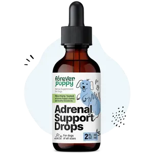 Adrenal Support Drops for Dogs - Pure Ashwagandha & Ginseng Root Tincture for Adrenal Health & Energy Support - Calming Care Liquid Supplement for Dogs of All Breeds & Sizes - 2 oz