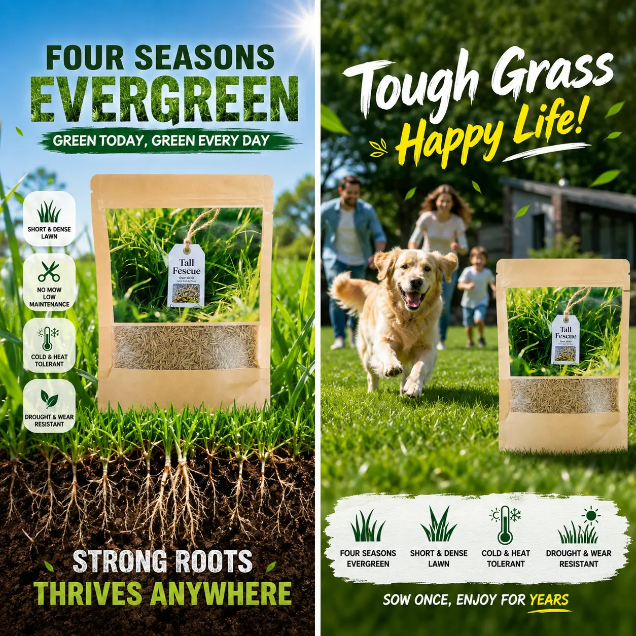 6000 Seeds Rapid Growth Lawn Grass – No Bald Spots, All-Weather Hardy, Perfect for Dense Turf & Golf Greens  #Summervibes