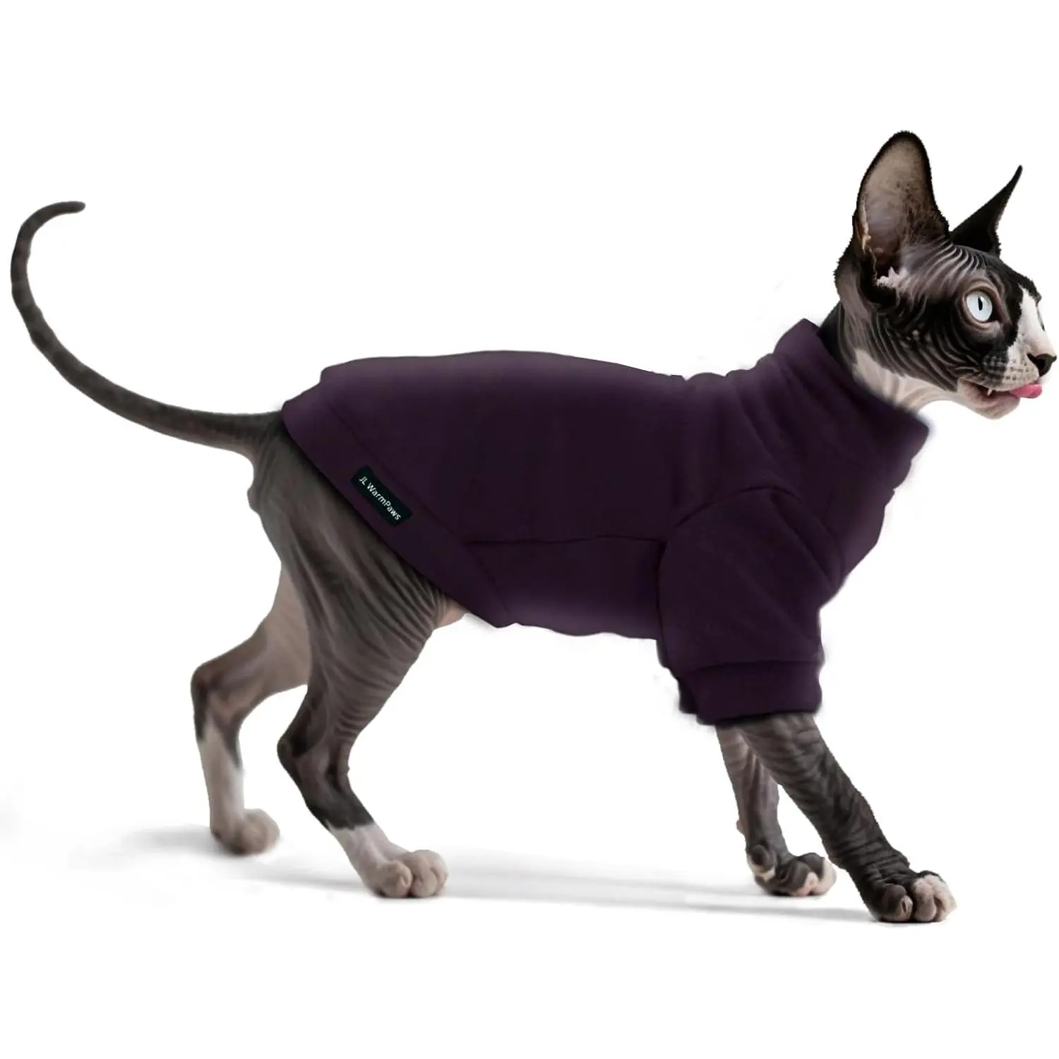 Dark Purple