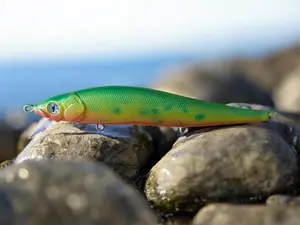 Hand-painted Custom Fishing Lure for Bass Pike Aggressive Strikes Durable Clear Coat Ships Fast from the USA