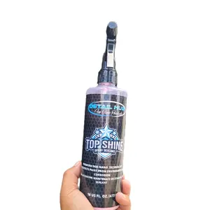 Top Shine SIO2 Spray Sealant