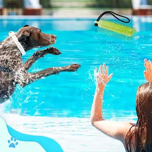 Dog Interactive Toys, Dog Water Toys, Bumper Chew Toys With Rope, Suitable For Summer Dog Outdoor Training And Playing