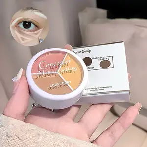 Multi-Purpose Concealer Palette for Flawless Coverage, Versatile Shades for All Skin Tones, Perfect for Makeup Artists and Everyday Use