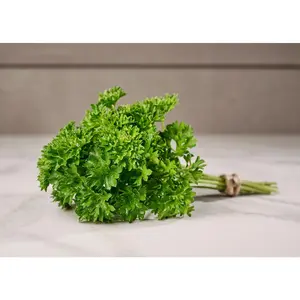Forest Green - Organic Parsley Seeds