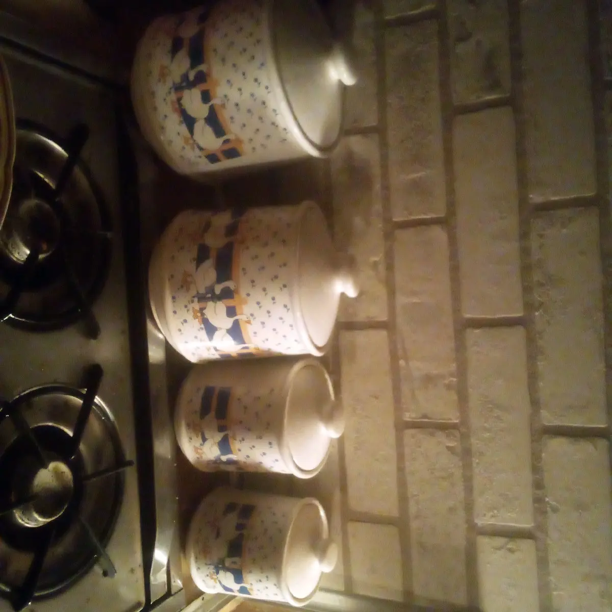 Geese canisters Geese canisters