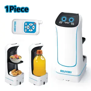 Remote Control Delivery Robot, Parent-Child Interactive Electric Toy, Remote Pet, Smart Robot, Mother's Day Gifts
