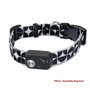 MS-5 COLLAR WITH DELUXE MODERN STRAP AND BOOT - Medium