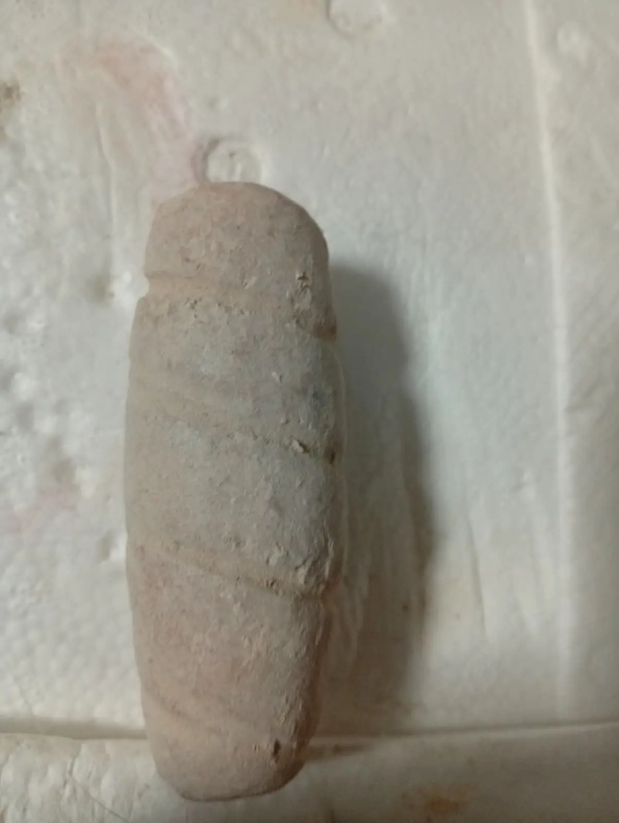 Native Traditional White Chalk