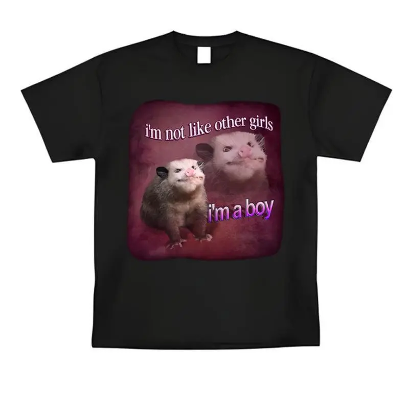 Funny I'm Not Like other Girl I'm a Boy T-Shirt Meme Graphic Tee Humor Man Unisex