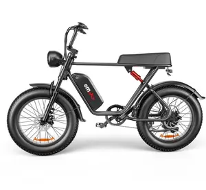 C91 Fat Tire Electric Bike | 48V 1000W | 43-Mile Range | Cree8 Peace