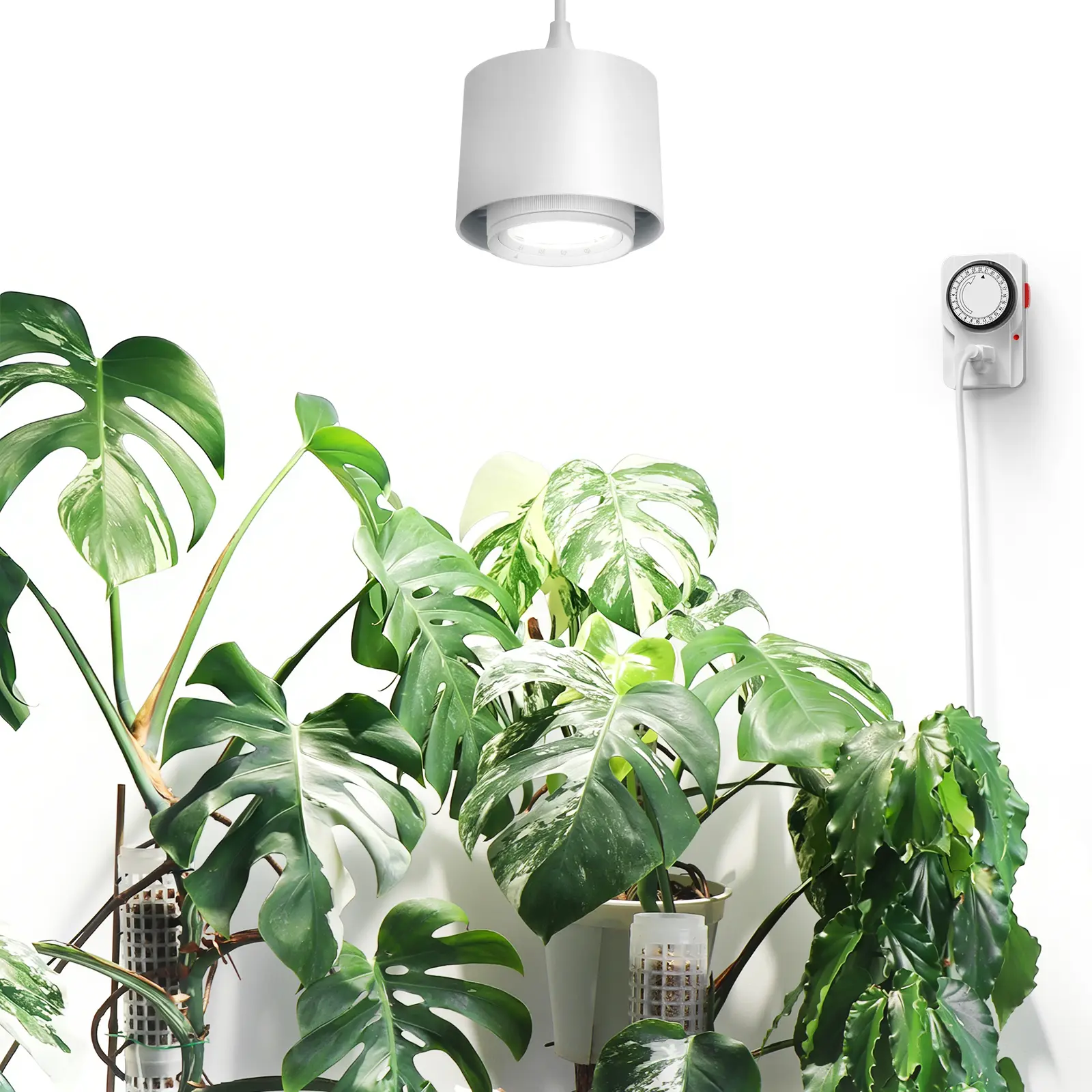 Barrina TR40 Hanging Plant Lights for Indoor Growing, 40W 5000K