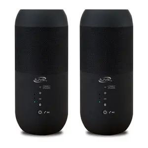 iLive S/2 Indoor Outdoor Bluetooth Speakers& Ground Stakes