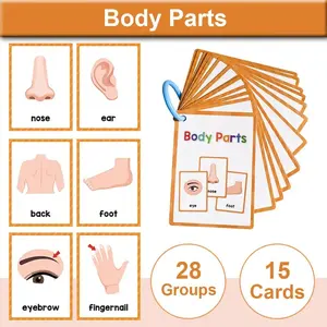 Body Parts Learning Cards Set, Bilingual Cards, Vocabulary Flashcards, Educational Toy for Kids Ages 6-9, Durable & Fun Design, Ideal Gift for Early Development